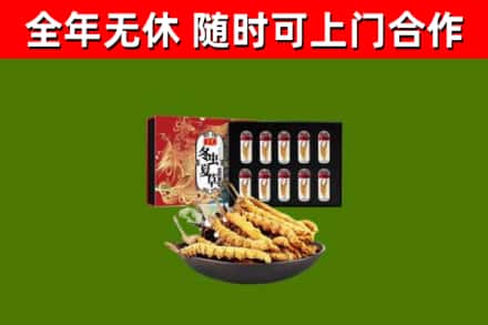 大同烟酒回收冬虫夏草礼盒.jpg